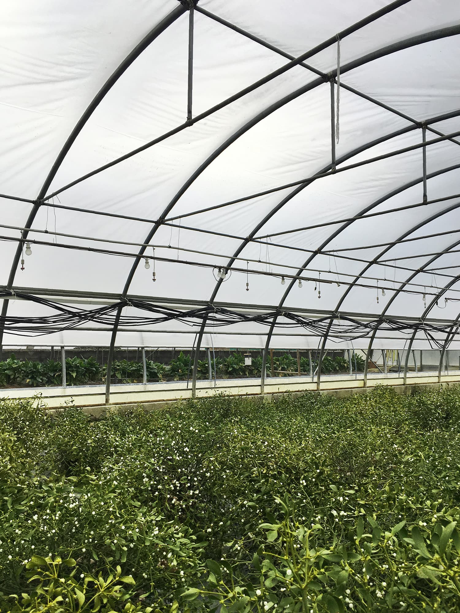 Parc de l’amour éternel in Lausanne won the Prix du jury